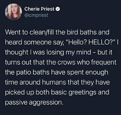 Screenshot from 2026-03-11 21-38-17