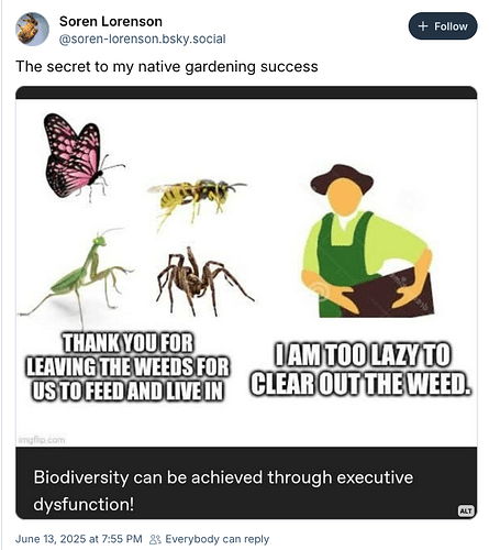 Screen Shot 2025-06-13 at 9.44.50 PM