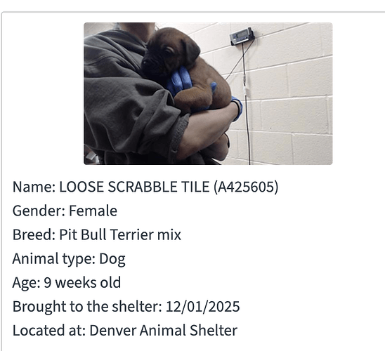 Screenshot 2025-12-03 at 2.24.05 PM