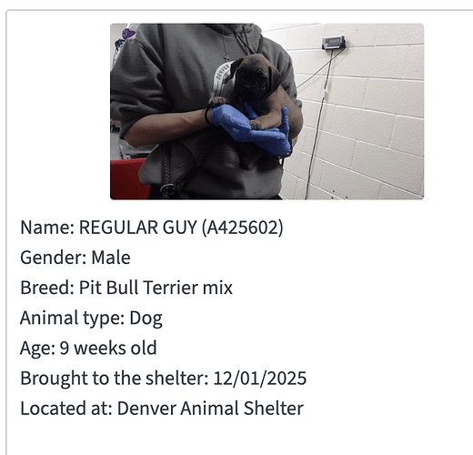 Screenshot 2025-12-03 at 2.23.49 PM