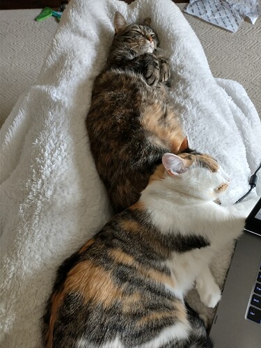 IMG_20251029_141428540_HDR