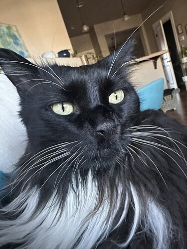 3482F459-385B-4F91-A27E-AF746D6A6511_1_105_c