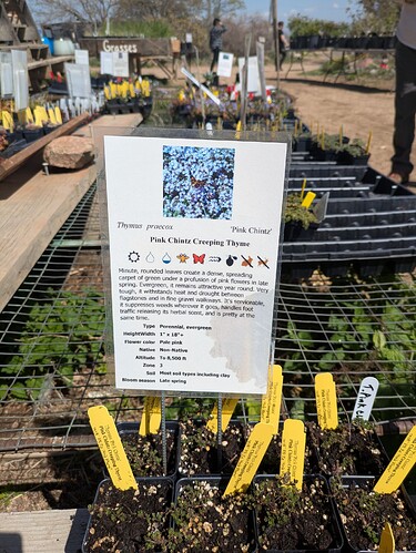 PXL_20250426_204625141.MP