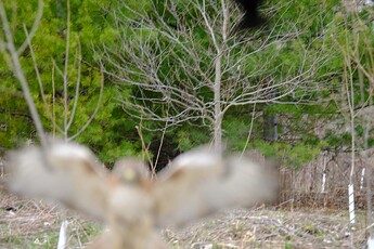 DSCF0838