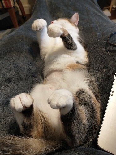 1b58be3d-4121-43c0-beb1-bded30e60ce1