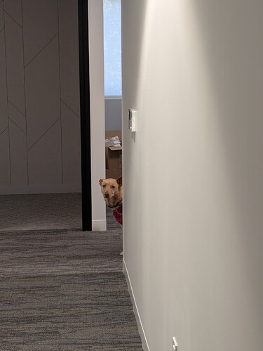 PXL_20250709_183700148