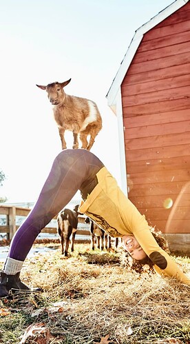 Screenshot_20250526-115729