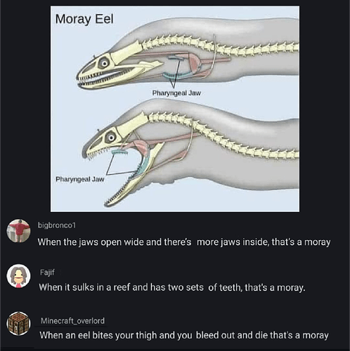 Screenshot_20251109-215720