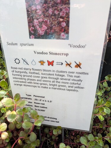 PXL_20250417_205819532