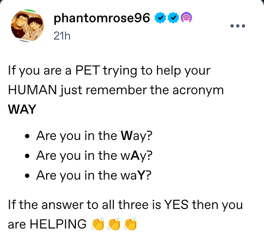 Screenshot_20260328-155955