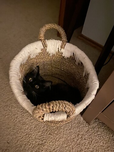 90A4D3DE-2142-4461-8AF1-FE3CF9821C80_1_105_c