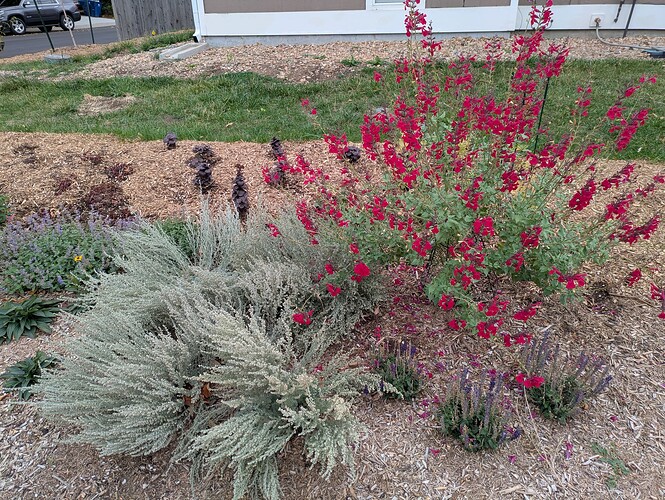 PXL_20251011_191857188