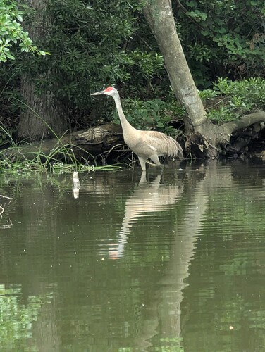 ecbfdfbf-3769-488a-a3e3-0fed5c69560c-1_all_31176