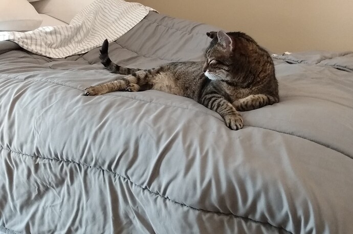 IMG_20250811_145856398~2