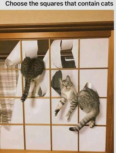 Screenshot_20250724_190657_WhatsApp