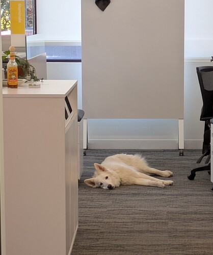 PXL_20250520_183217248