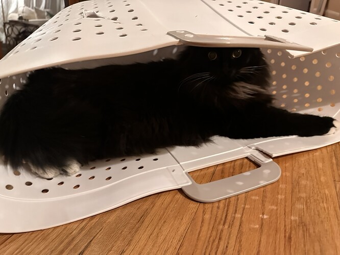 AD491DE5-B0E3-48C9-8216-A2C731715839_1_105_c