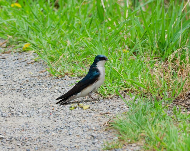 DSCF0307_DxO