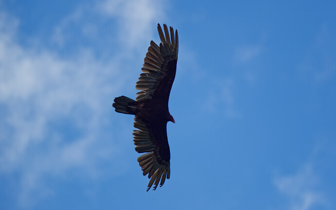 DSCF2082_DxO
