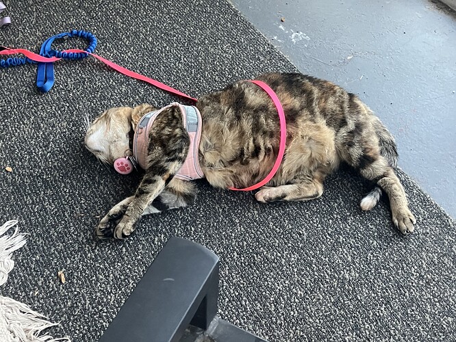 IMG_9273