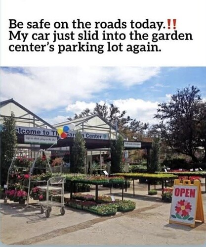 1000015991