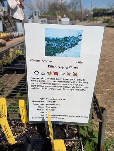 PXL_20250426_204617523