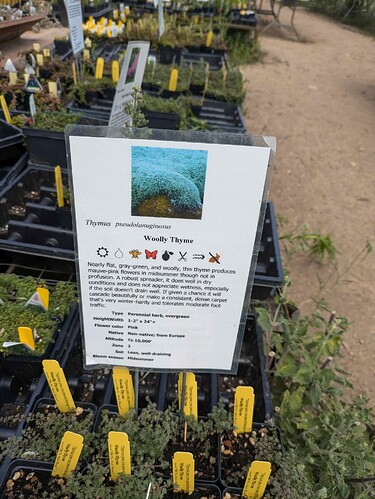 PXL_20240623_204928937