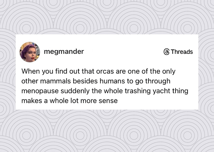 Screenshot_20260403-144358