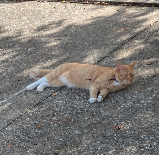 PXL_20250831_144032164