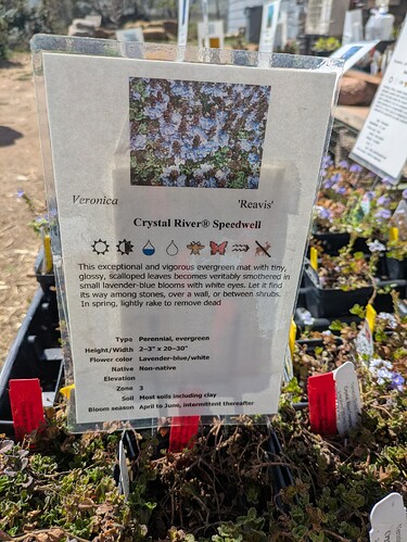 PXL_20250426_204604245