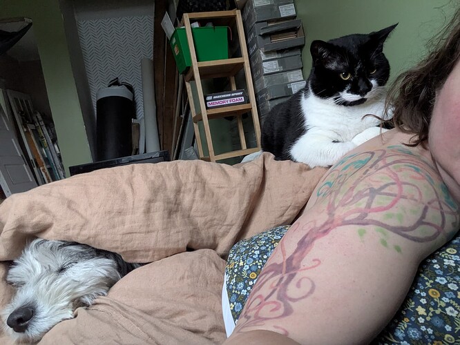 PXL_20251012_202745110