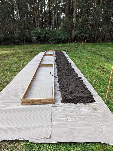 PXL_20230801_035342069