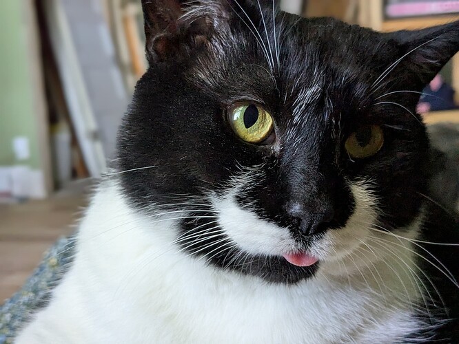 PXL_20250928_161935652.PORTRAIT