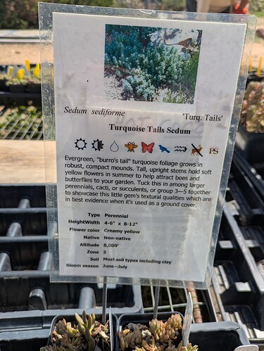 PXL_20250426_204639174