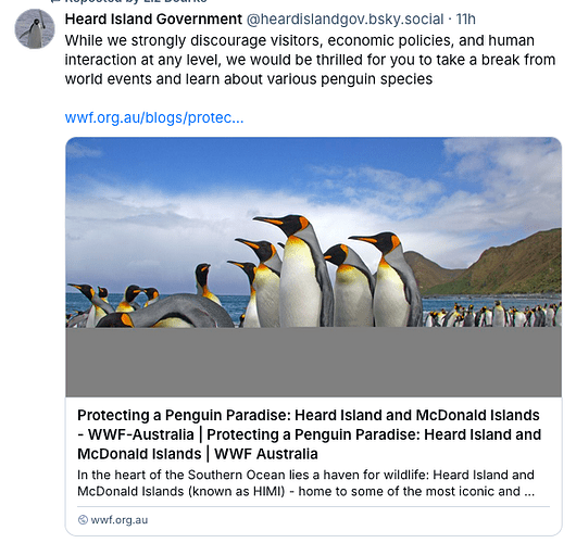 Screen Shot 2025-04-03 at 7.22.54 AM