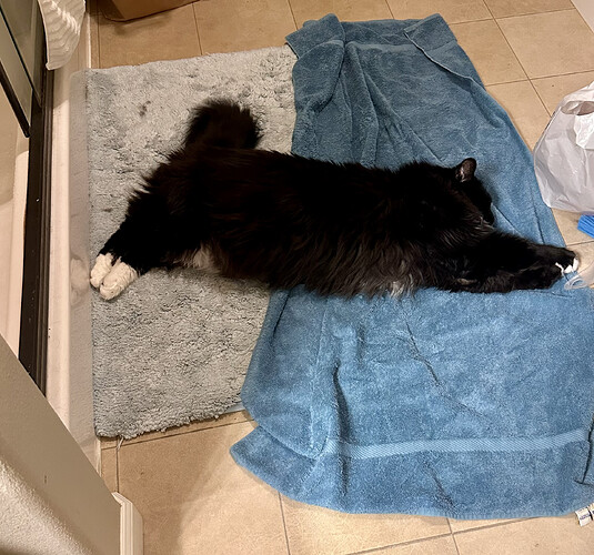 D923935B-F4F3-4483-AE66-80847E595383_1_201_a