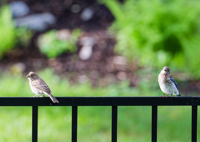DSCF2094_DxO