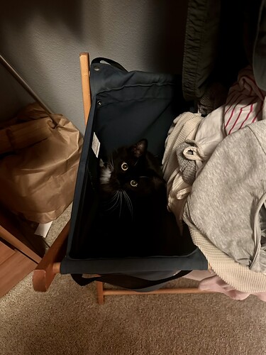 C12F2B23-9A4A-447C-BACA-75664D060627_1_105_c