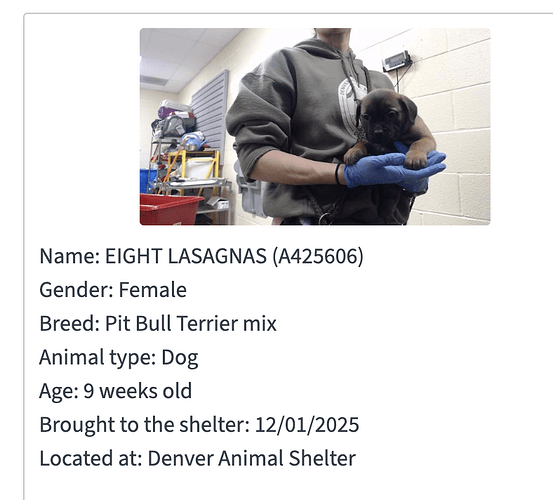 Screenshot 2025-12-03 at 2.24.13 PM