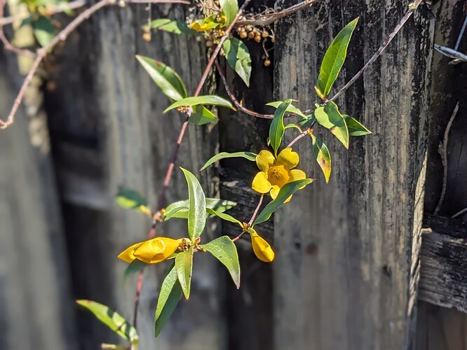 PXL_20240227_163117791.PORTRAIT