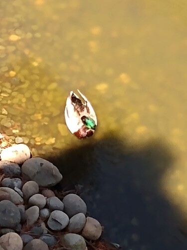 IMG_20240514_121730110