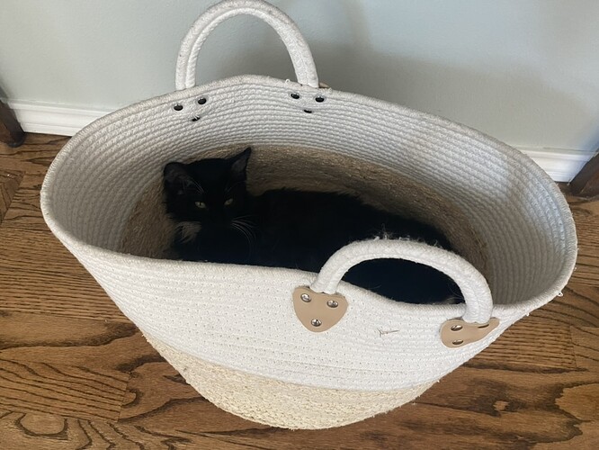 8227B8B2-1A1F-42C3-89F0-AEF2B490E2F4_1_105_c