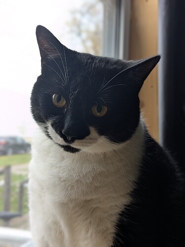 PXL_20251017_150701537.PORTRAIT