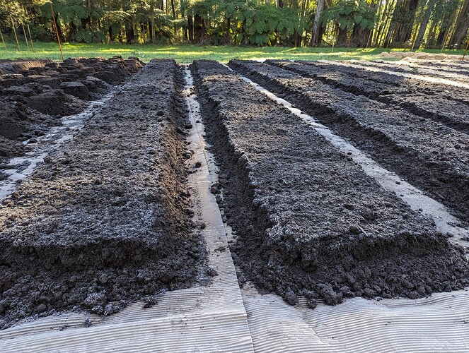 PXL_20230815_231528845