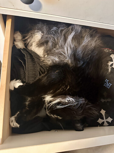 2B3653CE-8E1E-49CA-8524-F3D47C2C035E_1_201_a