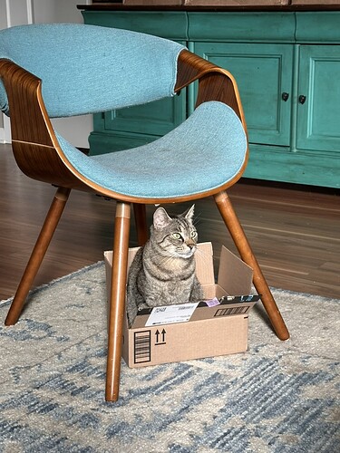 A967ABE6-13ED-4A47-9C98-F4853CC66694_1_105_c