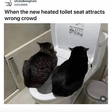 Screenshot from 2026-03-05 21-17-28