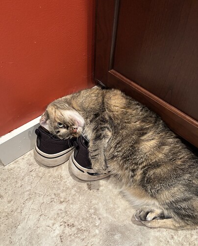 IMG_0916