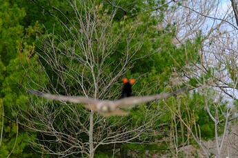 DSCF0837