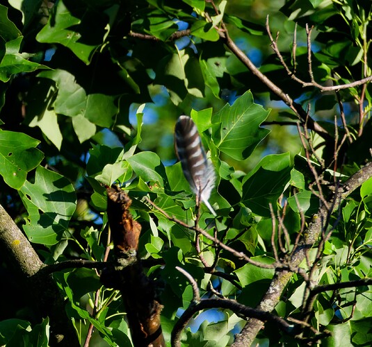 DSCF3112_DxO